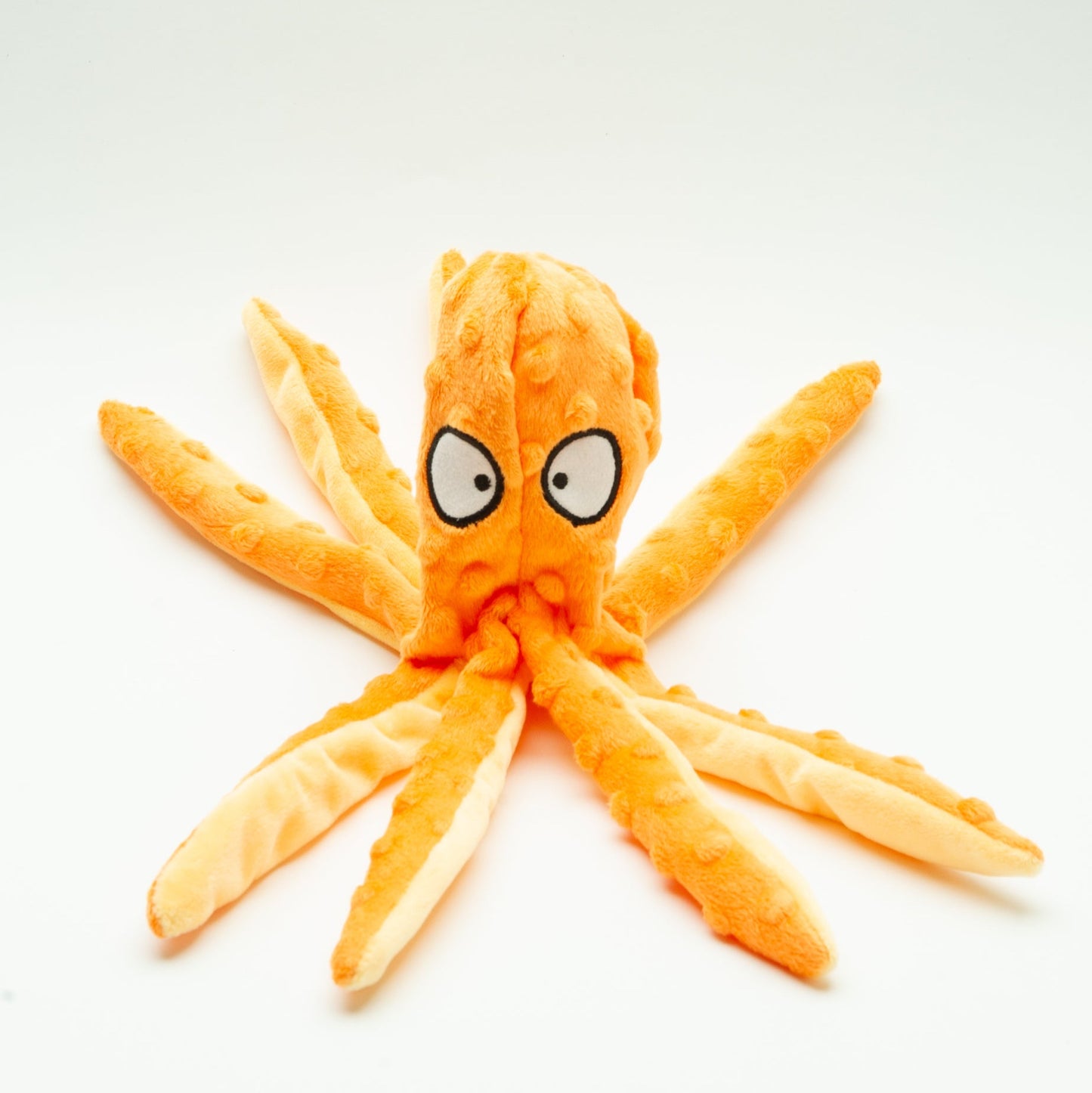 Adult box (Grote hond)