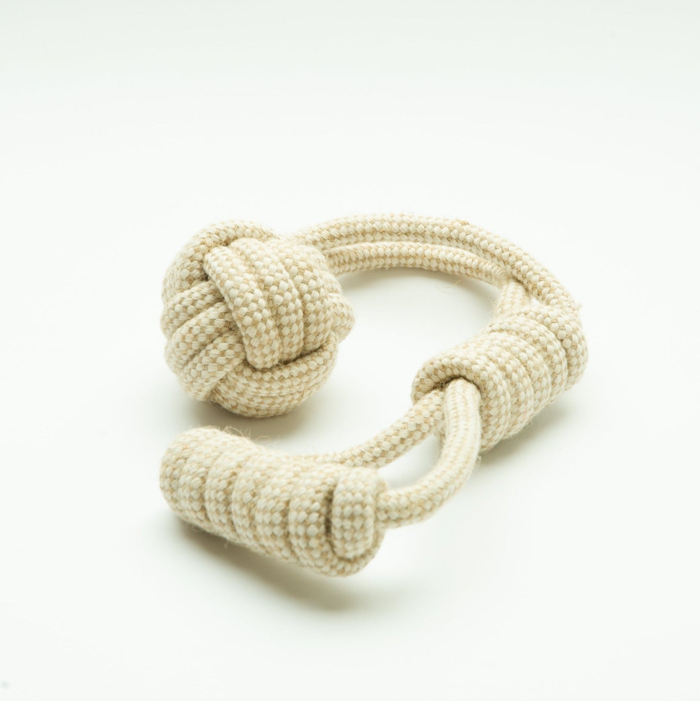 Adult box (Grote hond)