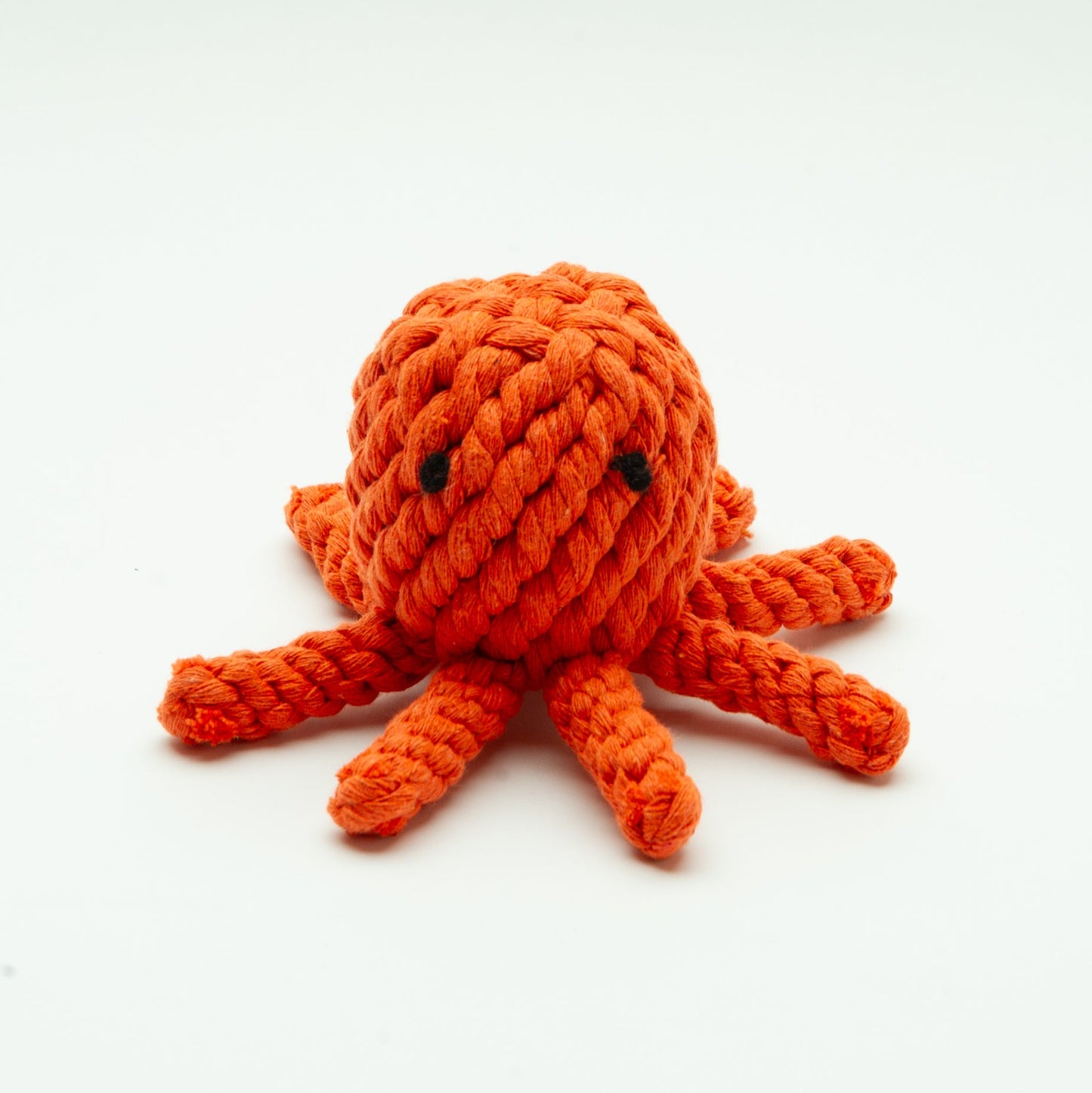 Puppy box (Kleine hond)