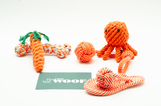 Puppy box (Kleine hond)