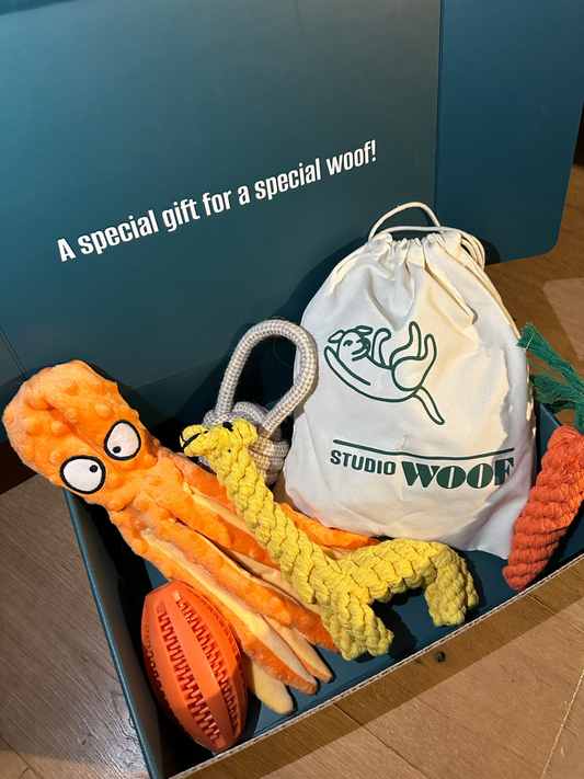 Stel je eigen Studiowoof-cadeaubox samen – 5 speeltjes